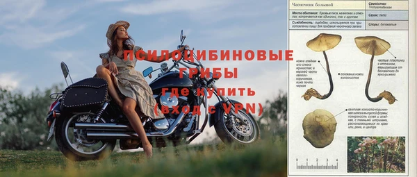 не бодяженный Аркадак